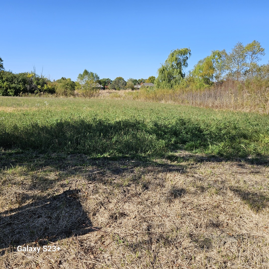 6857 Ellis Drive Long Grove, IL 60047 - Photo 12 of 17 a view of mountain with lake view