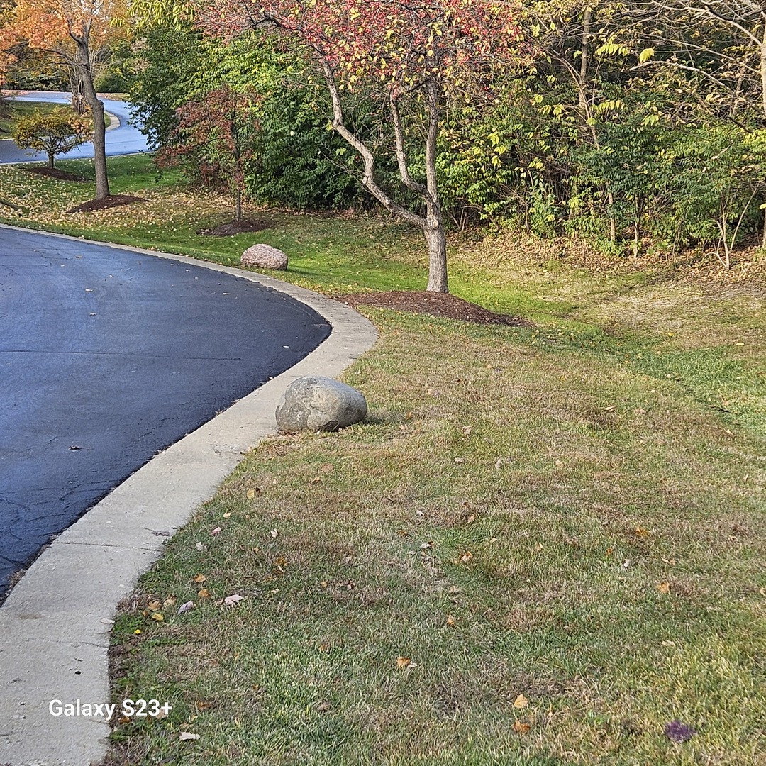 6857 Ellis Drive Long Grove, IL 60047 - Photo 16 of 17 a view of a yard with trees