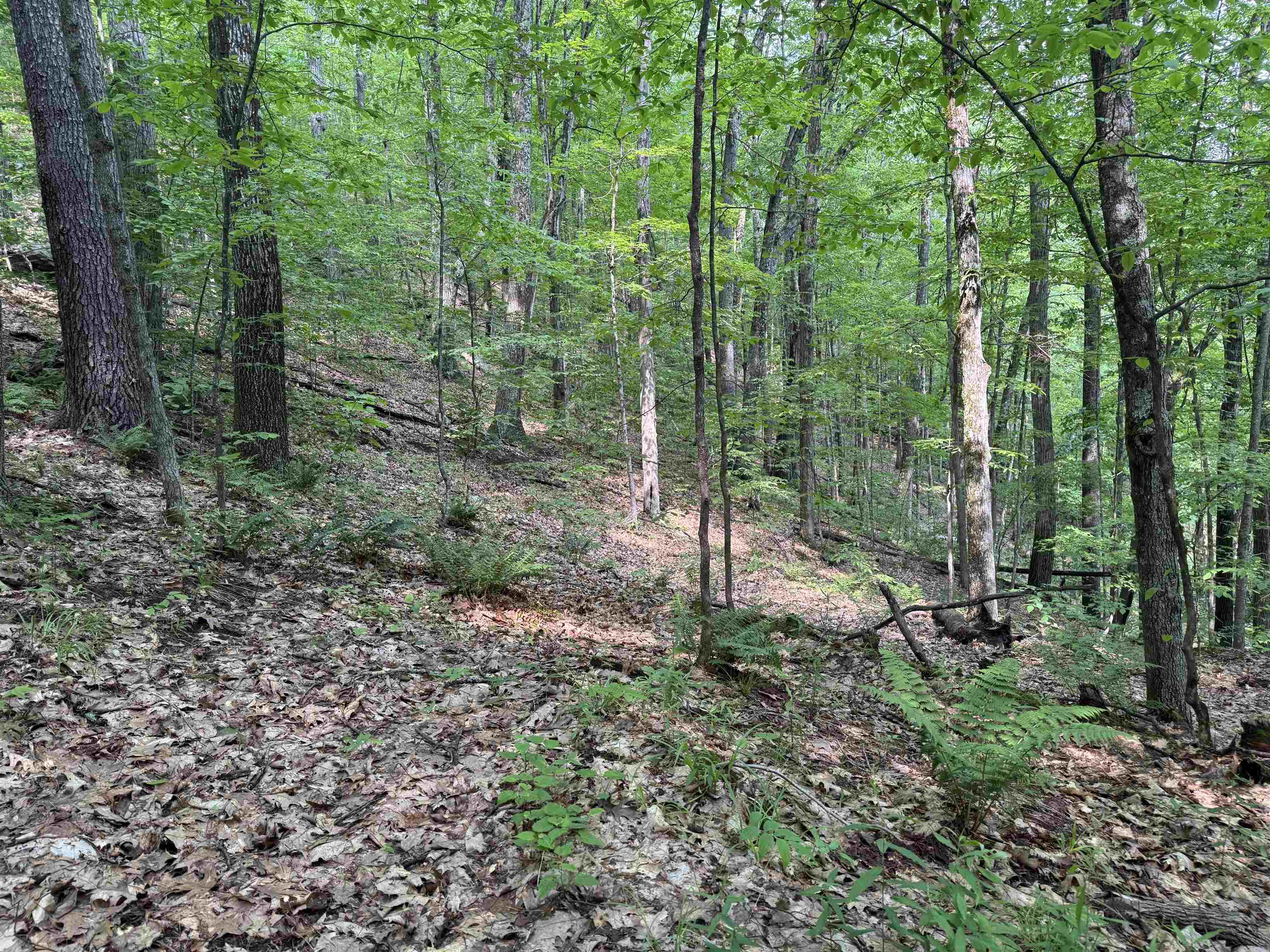 0 Ober Hill Road Townshend, VT 05353 - Photo 1 of 8