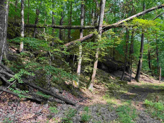 $35,000 | 0 Ober Hill Road, Townshend, VT 05353