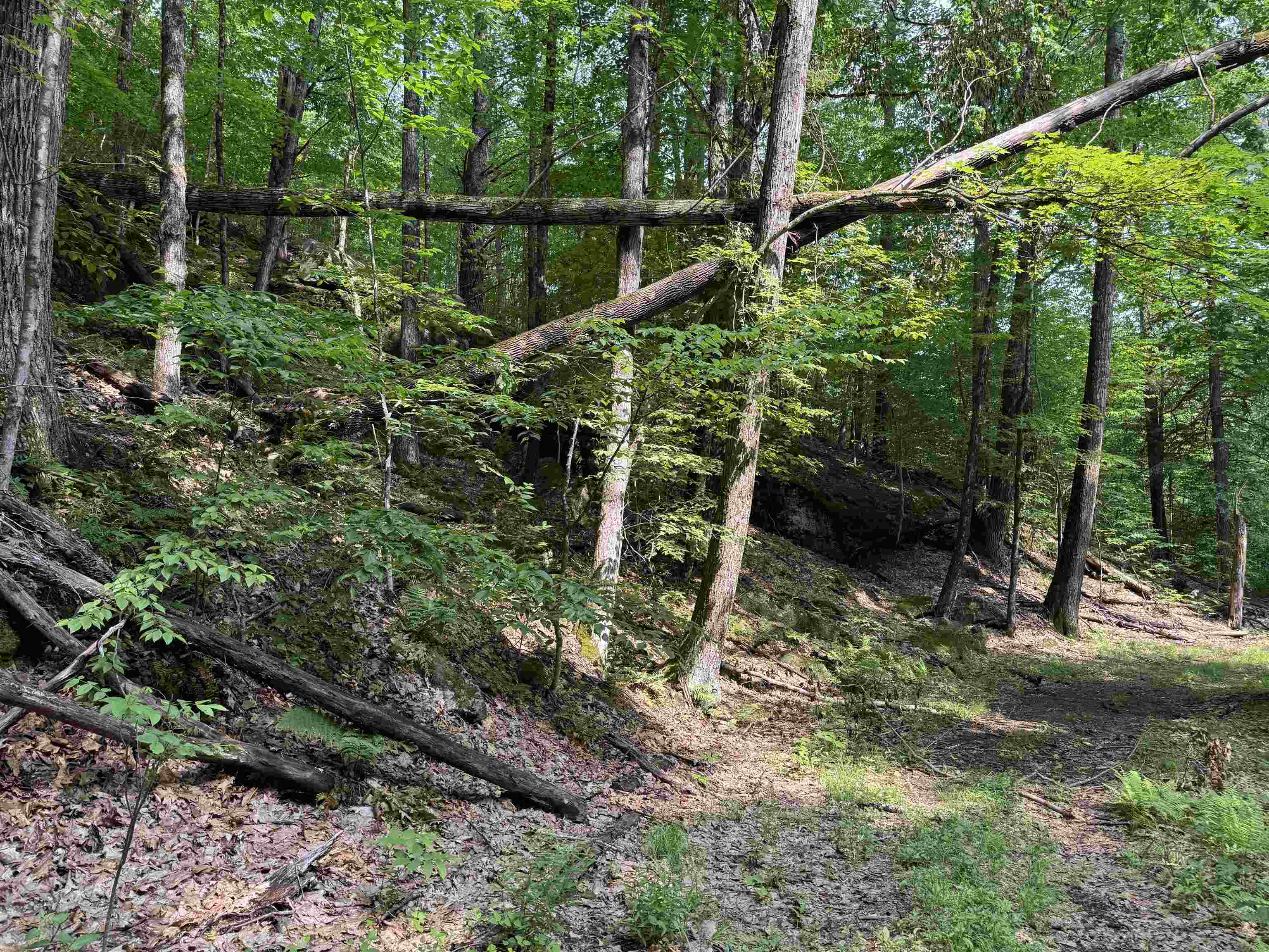 0 Ober Hill Road Townshend, VT 05353 - Photo 2 of 8