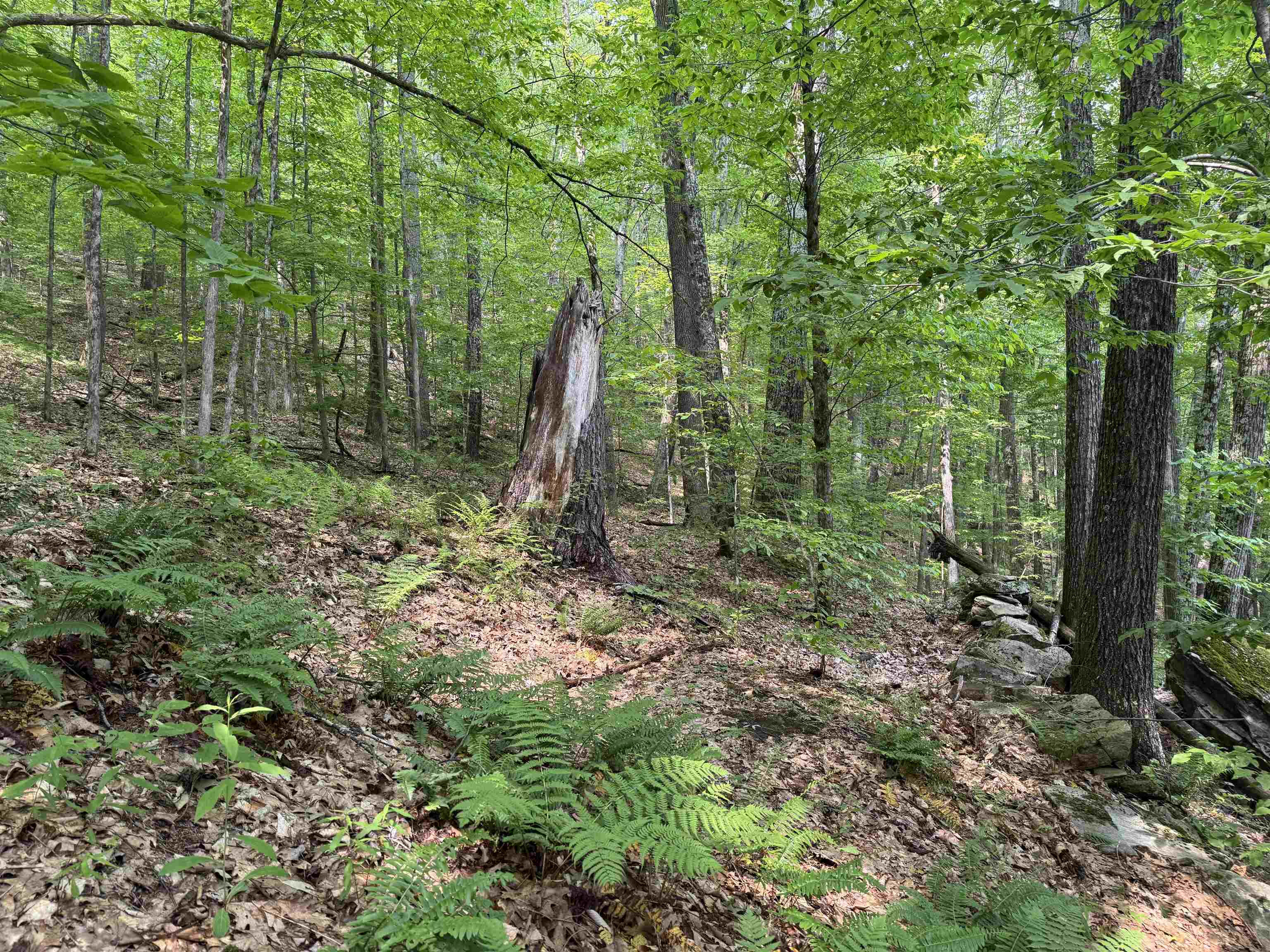 0 Ober Hill Road Townshend, VT 05353 - Photo 3 of 8