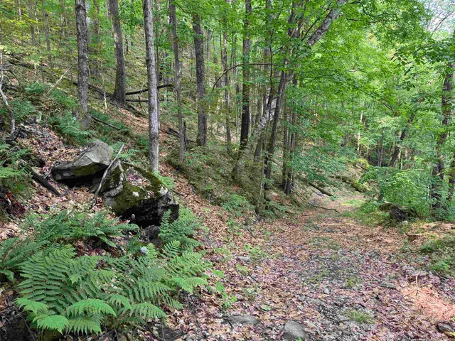 $35,000 | 0 Ober Hill Road, Townshend, VT 05353
