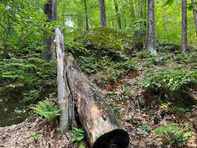 $35,000 | 0 Ober Hill Road, Townshend, VT 05353