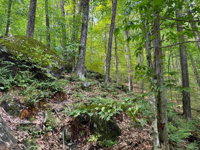 $35,000 | 0 Ober Hill Road, Townshend, VT 05353