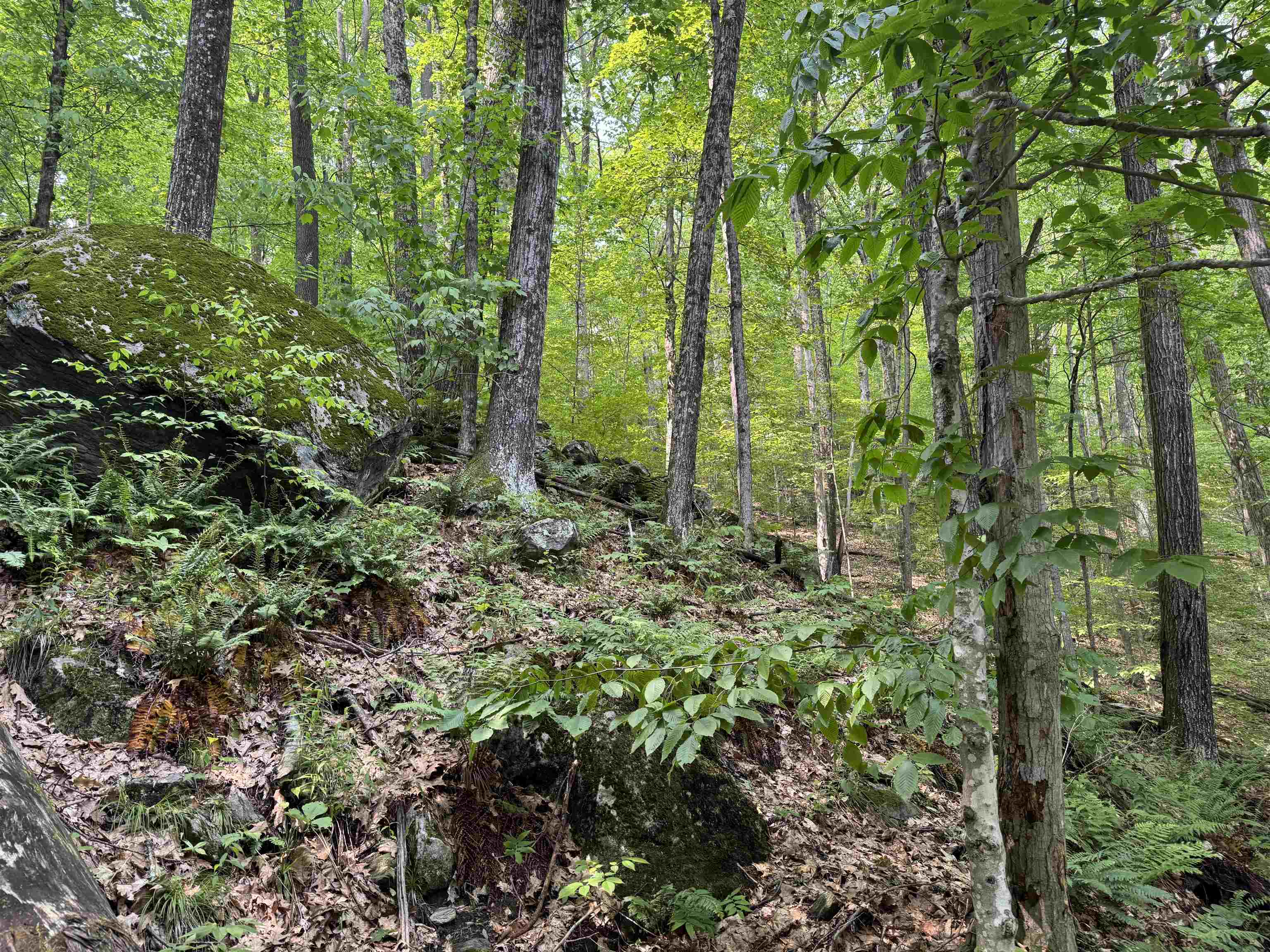 0 Ober Hill Road Townshend, VT 05353 - Photo 6 of 8