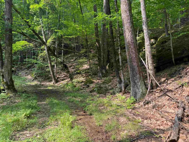 $35,000 | 0 Ober Hill Road, Townshend, VT 05353