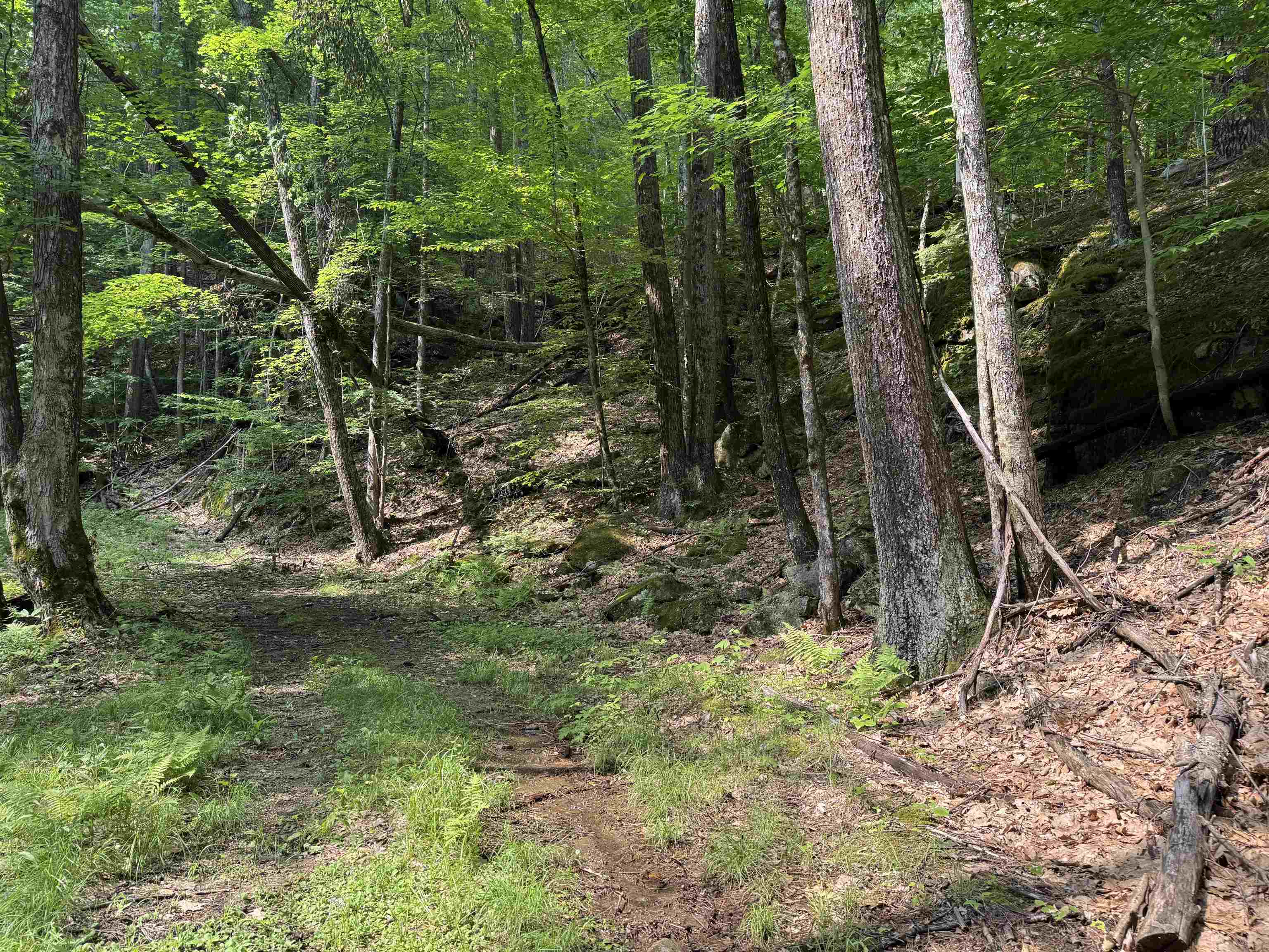 0 Ober Hill Road Townshend, VT 05353 - Photo 7 of 8