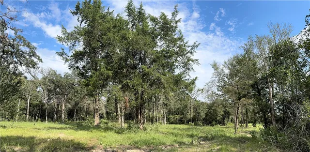 $74,280 | Tbd East Bell Lane, Franklin, TX 77856