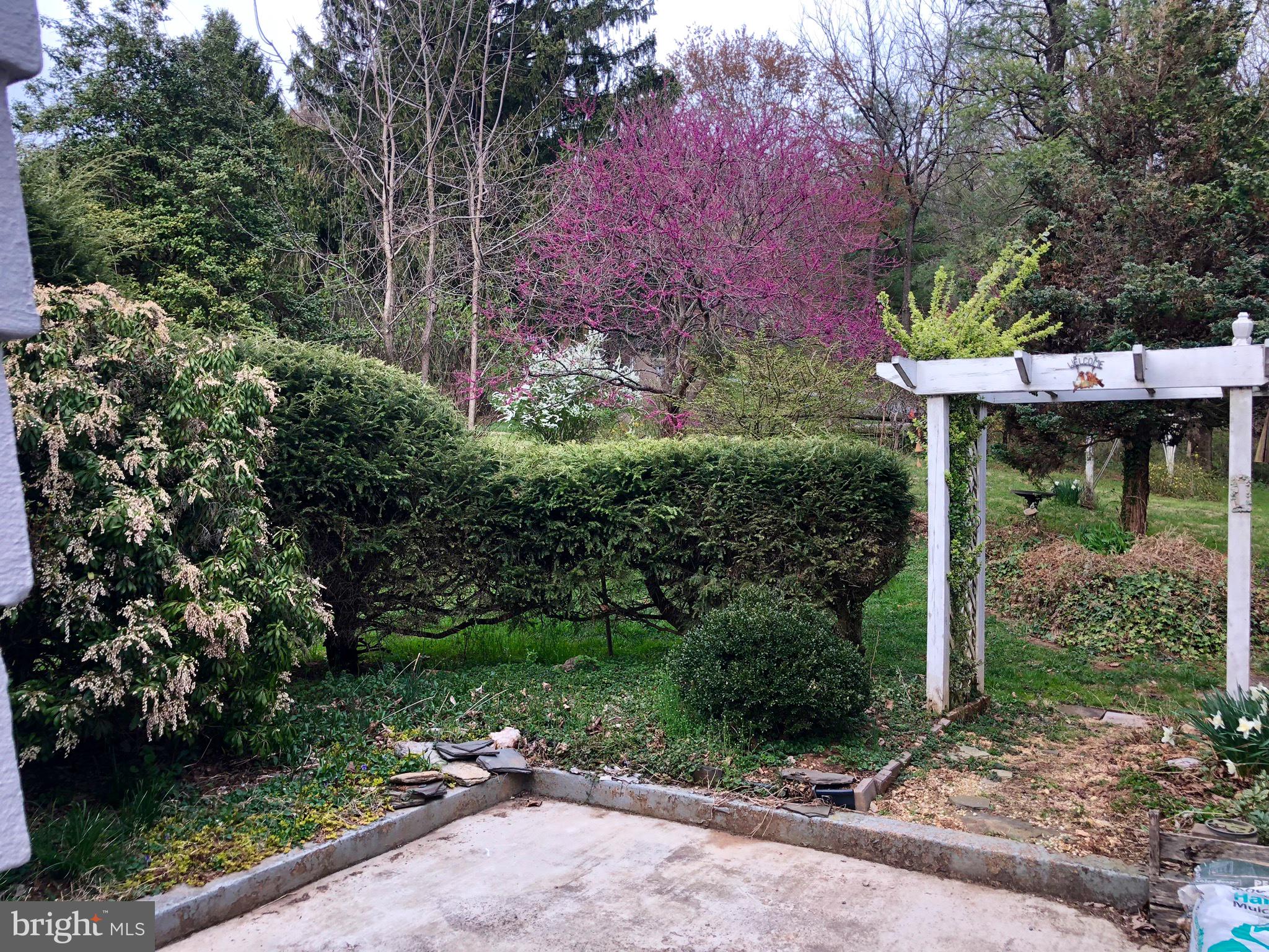 4150 Mountville Road Jefferson, MD 21755 - Photo 3 of 17 Back Yard