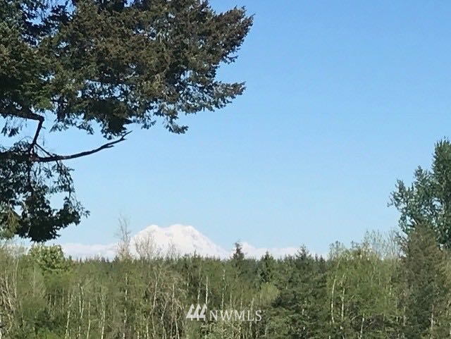 220 Summers Road Centralia, WA 98531 - Photo 24 of 25