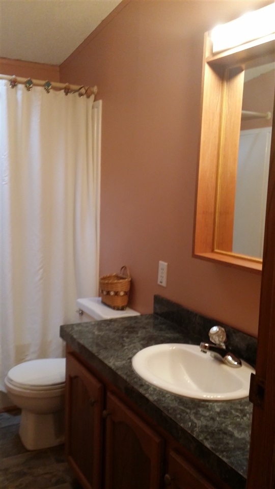 1370 South Chippewa Road Mount Pleasant, MI 48858 - Photo 24 of 38 1805015-24.JPG