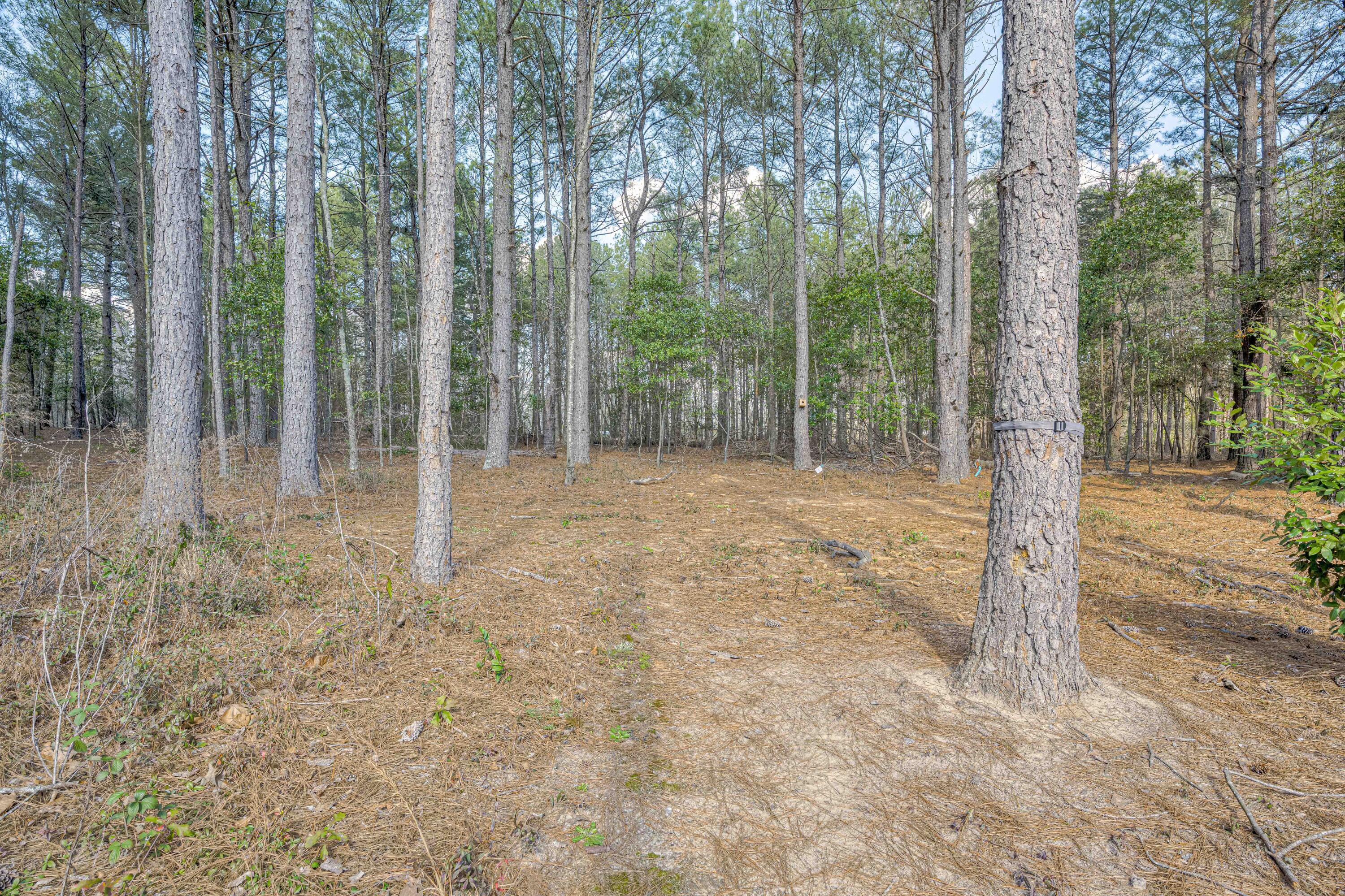 2086 Piper Road Aiken, SC 29805 - Photo 34 of 37 33-033-