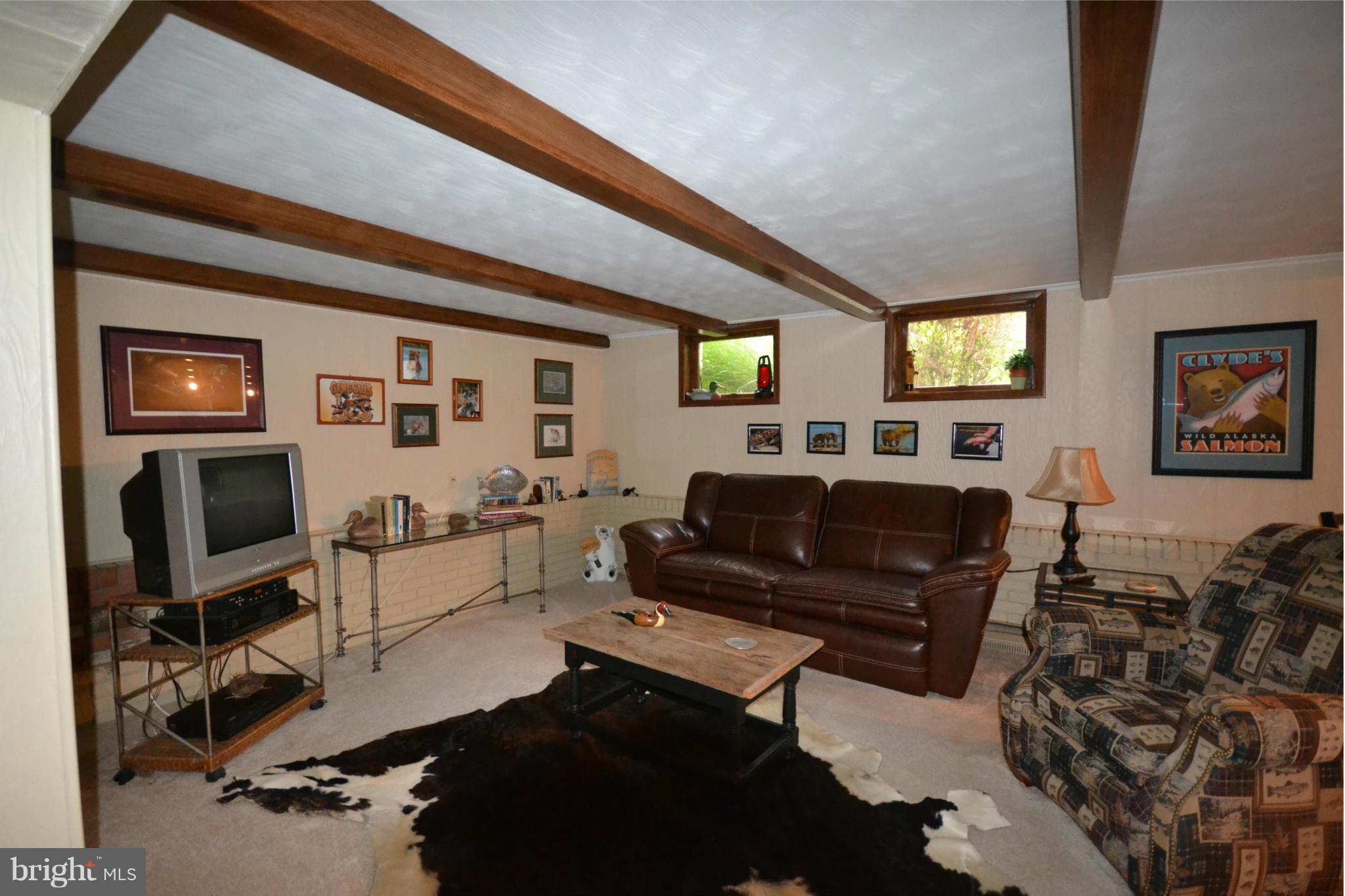 19666 Youngs Cliff Road Sterling, VA 20165 - Photo 20 of 30 Basement