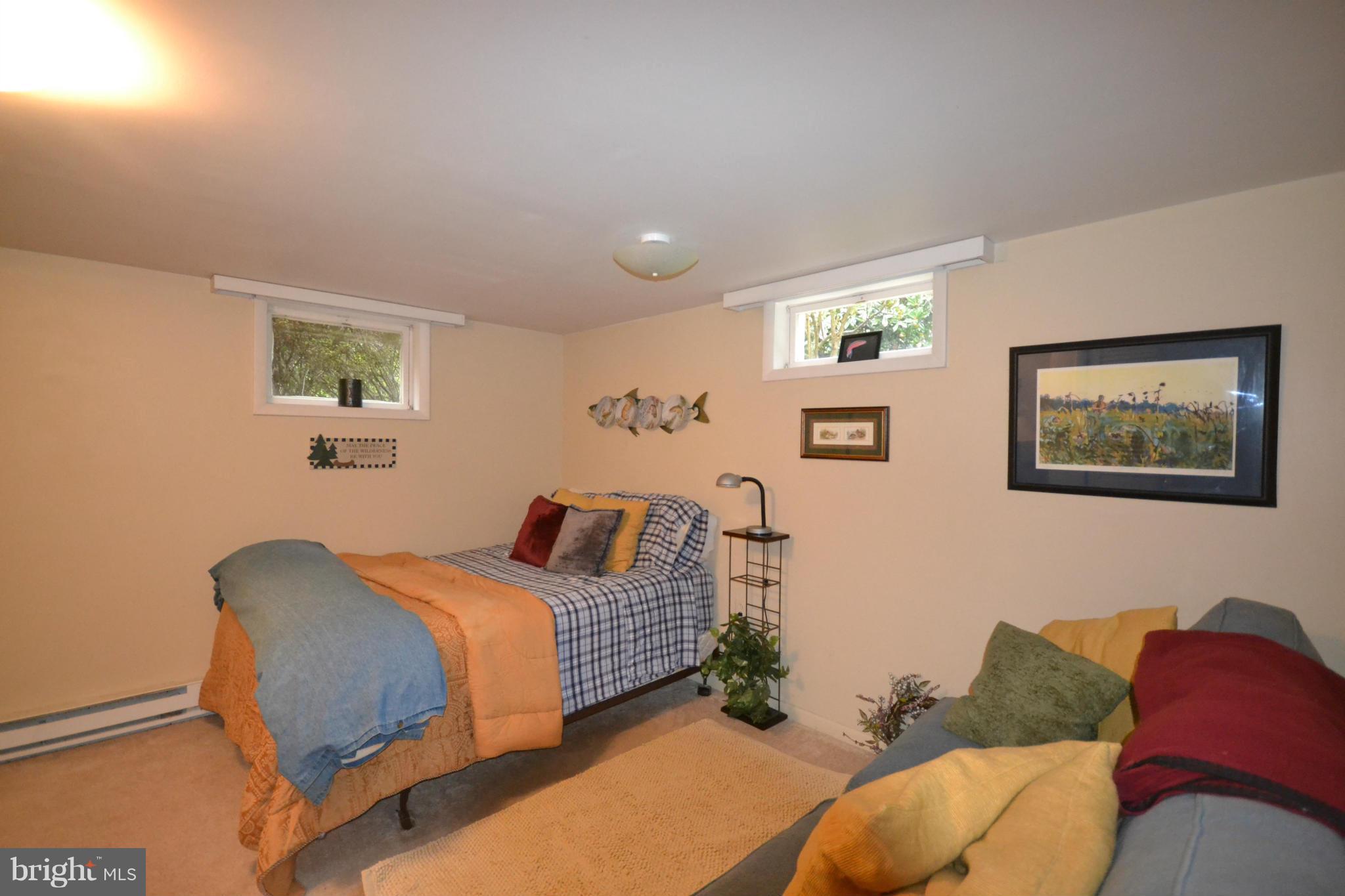 19666 Youngs Cliff Road Sterling, VA 20165 - Photo 23 of 30 Basement