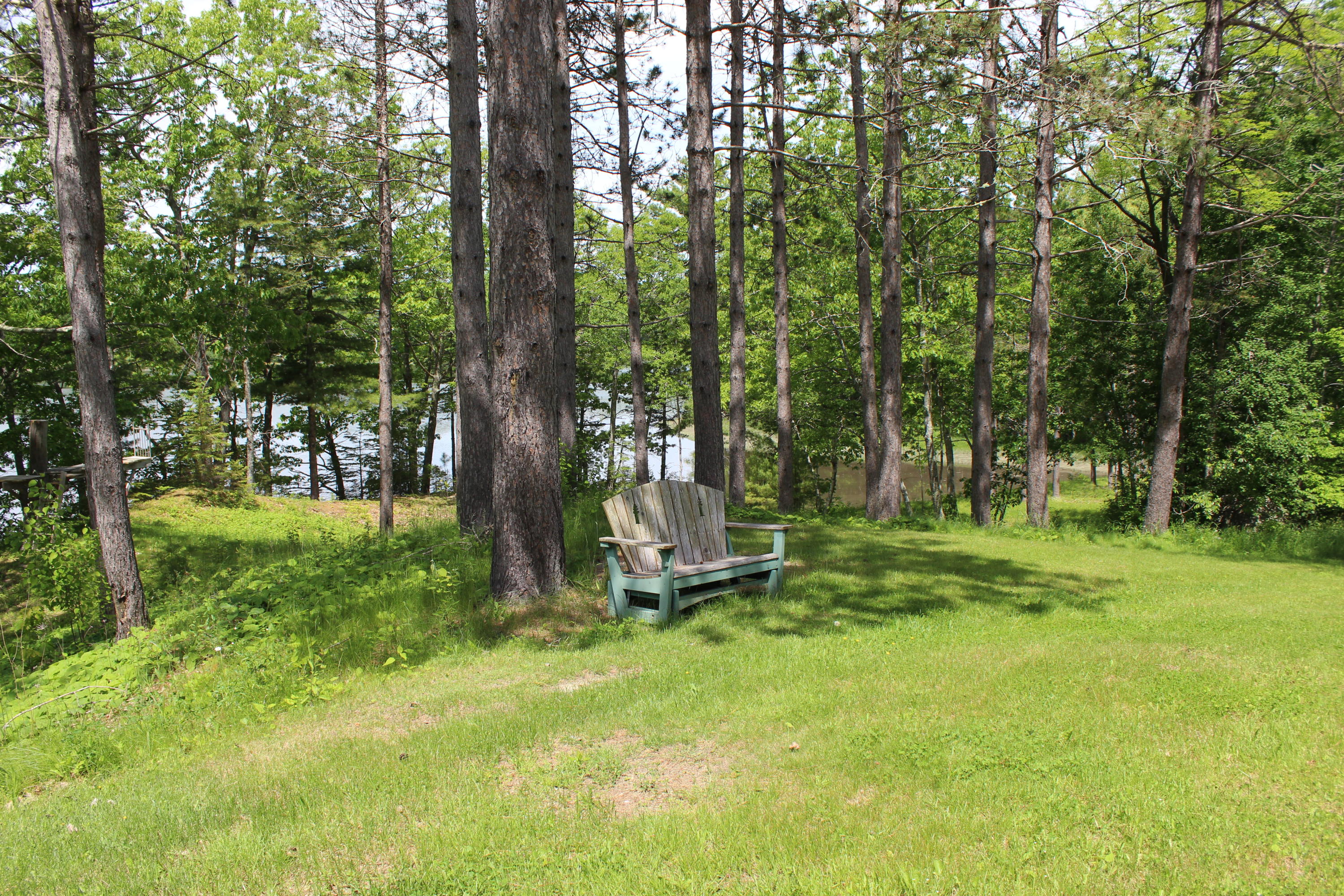 447 Castine Road Orland, ME 04472 - Photo 88 of 92 IMG_7509