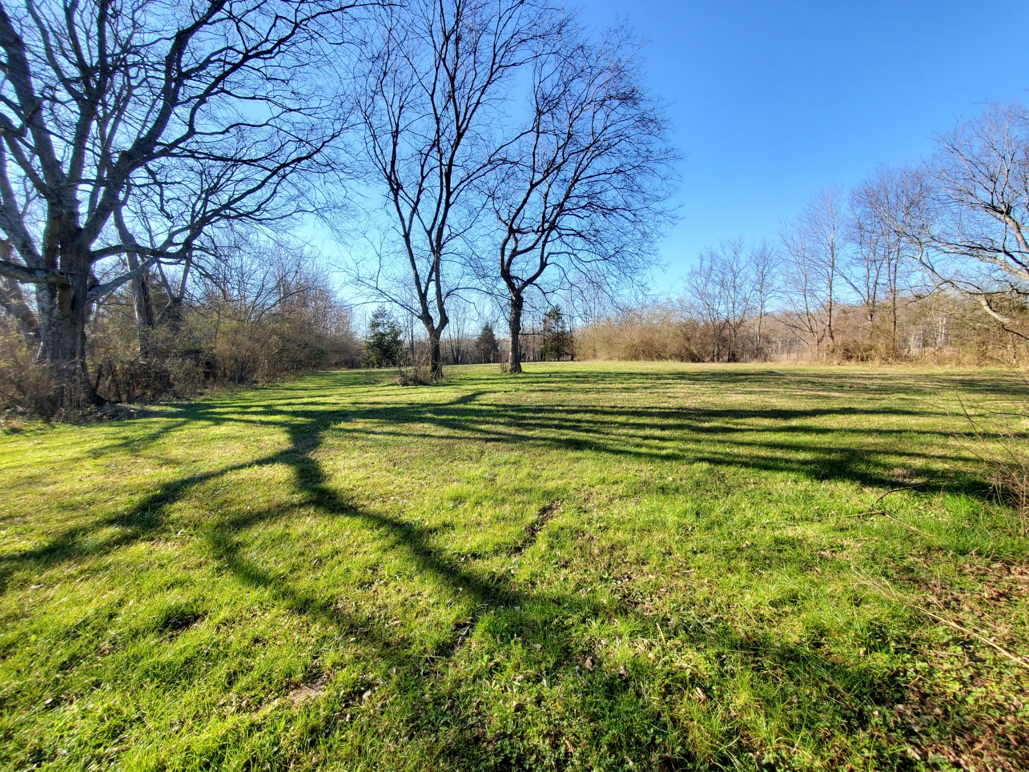 107 Childress Road Fayetteville, TN 37334 - Photo 11 of 59 Gallery Image 11