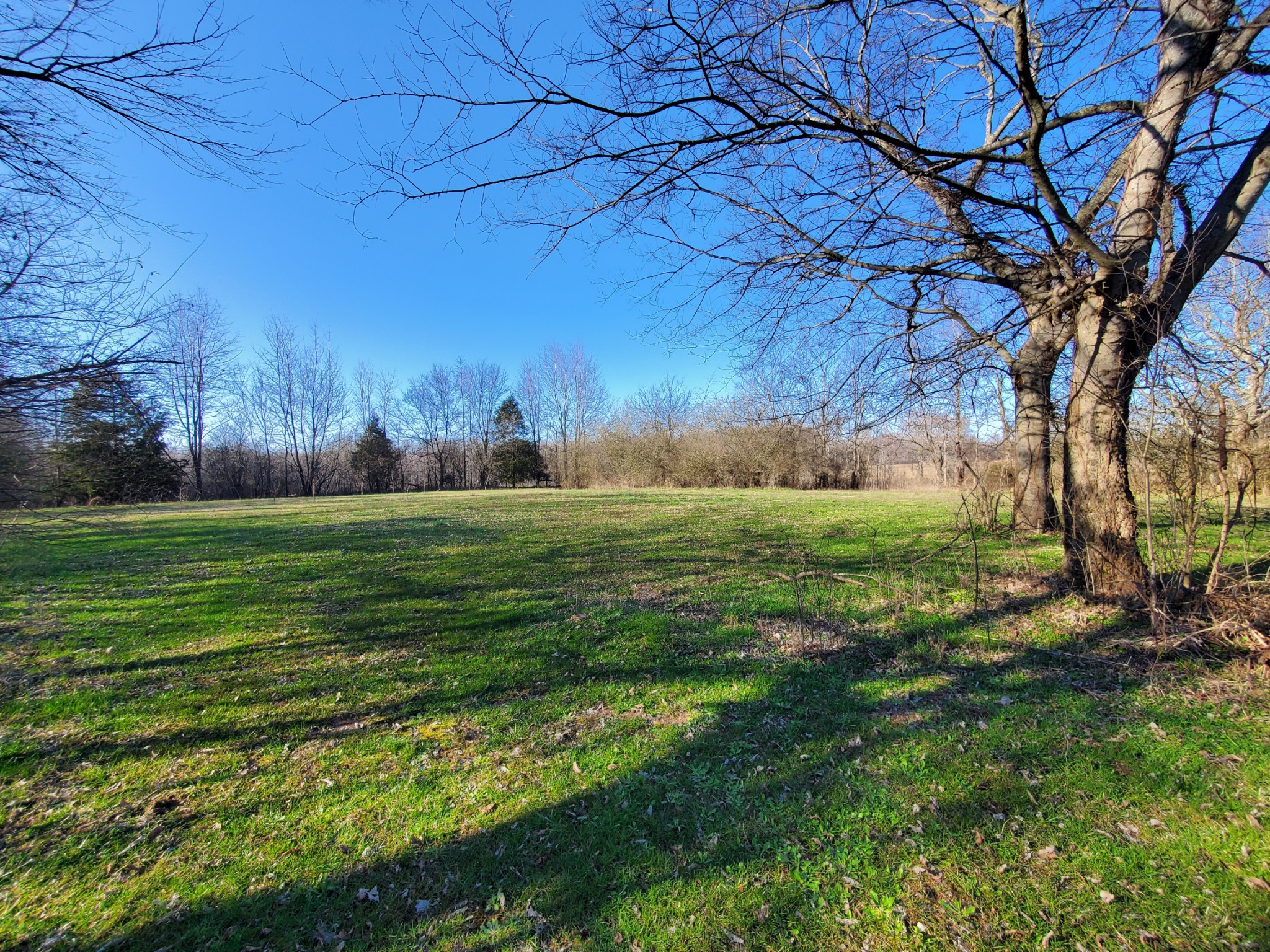 107 Childress Road Fayetteville, TN 37334 - Photo 12 of 59 Gallery Image 12