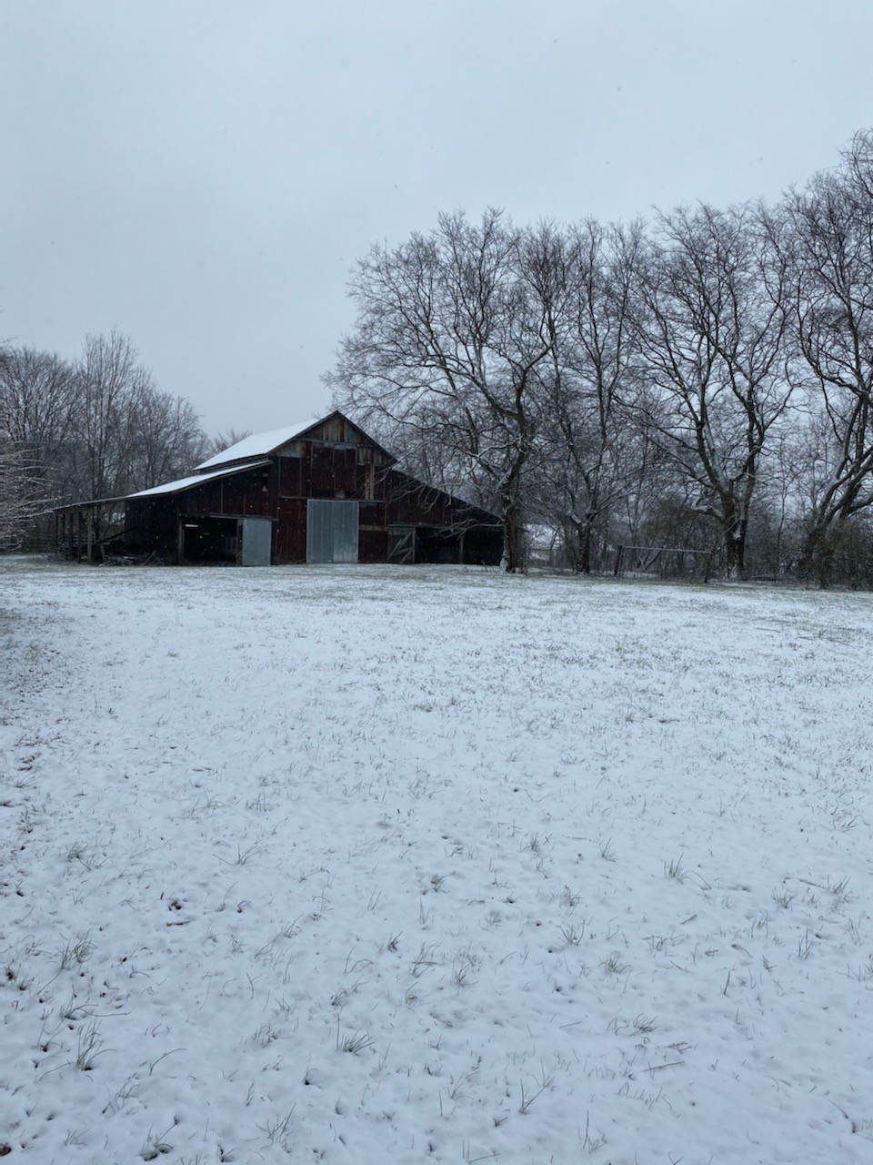 107 Childress Road Fayetteville, TN 37334 - Photo 18 of 59 Gallery Image 18