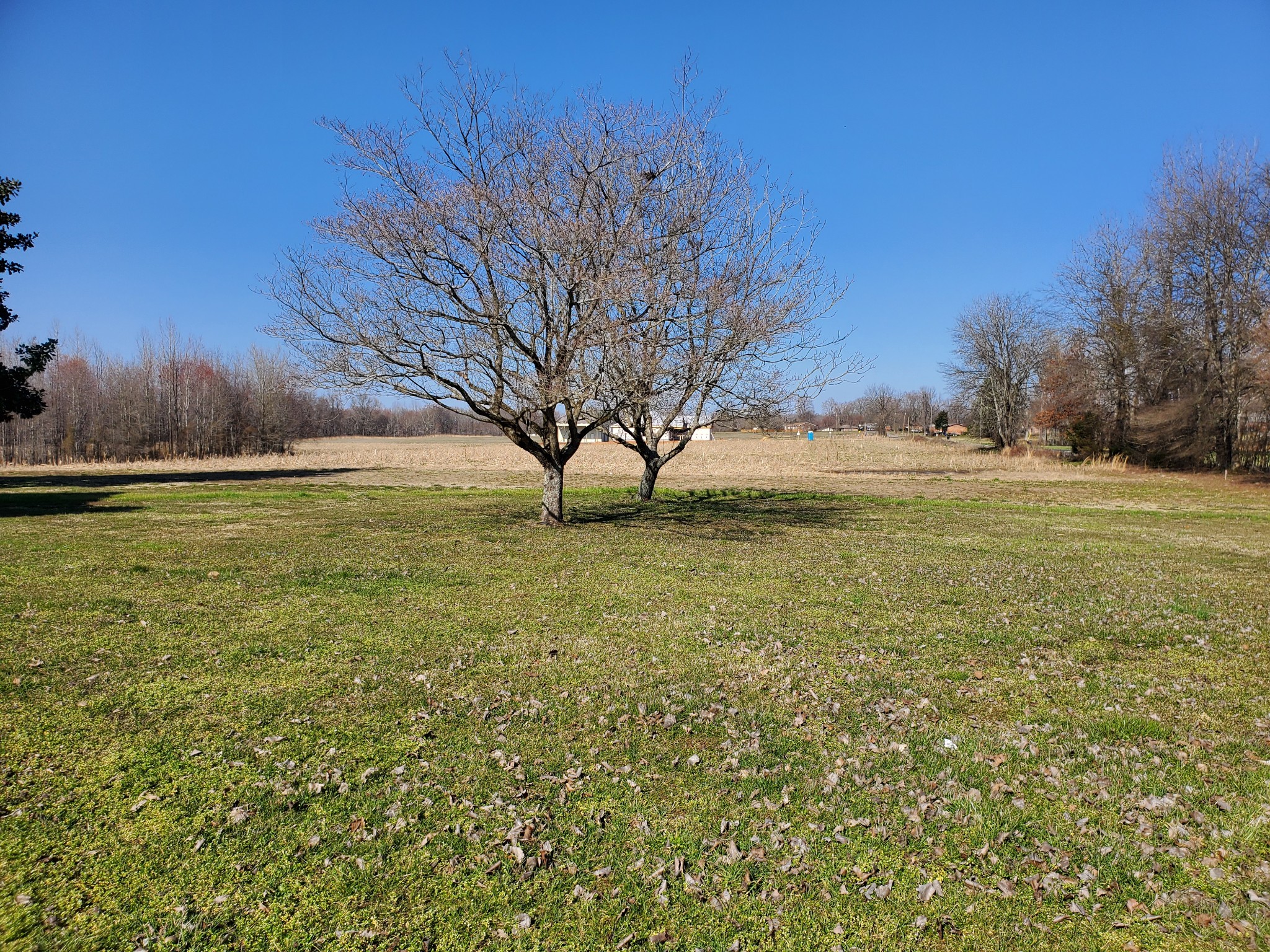 107 Childress Road Fayetteville, TN 37334 - Photo 9 of 59 Gallery Image 9