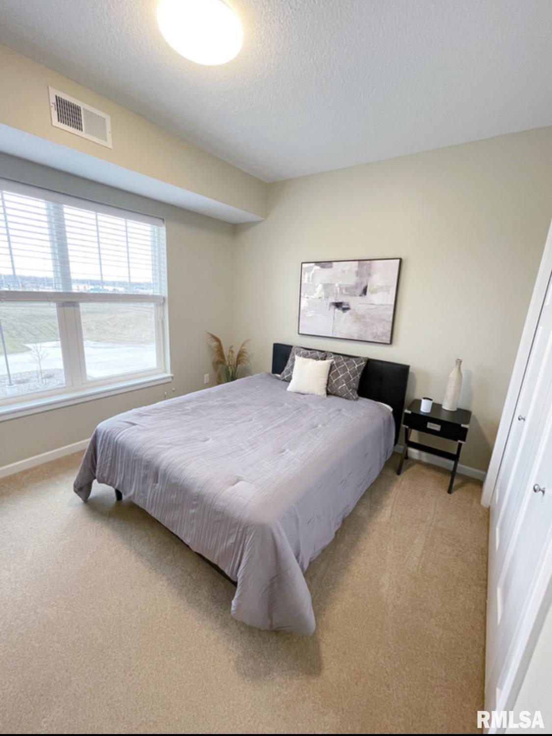 2592 Middle Road, Unit 310 Bettendorf, IA 52722 - Photo 7 of 15 Gallery Image 7