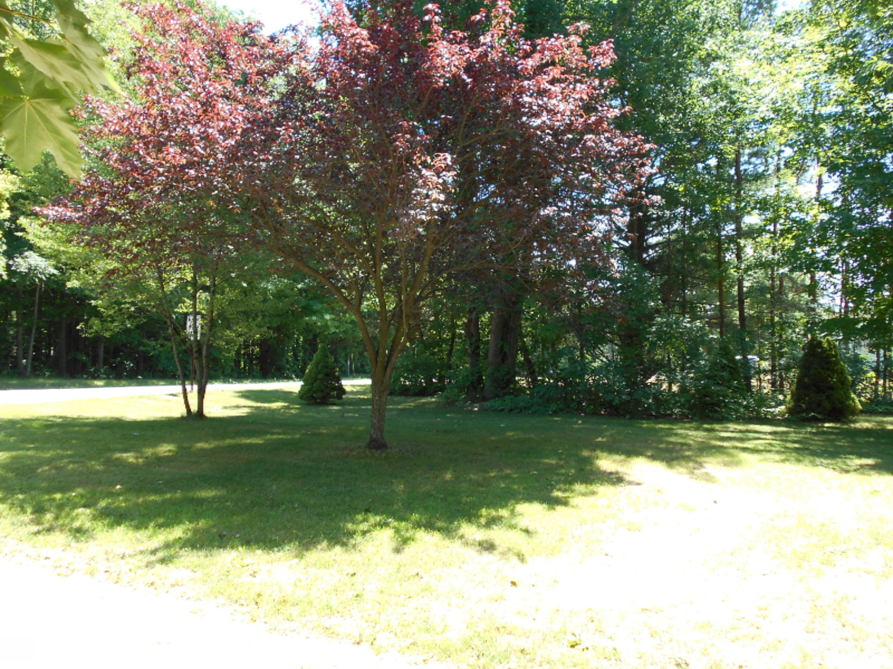 2249 South Sullivan Road Ravenna, MI 49451 - Photo 33 of 38 DSCN0583