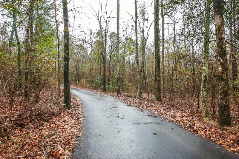 5799 Goett Road Dearing, GA 30808 - Photo 2 of 75