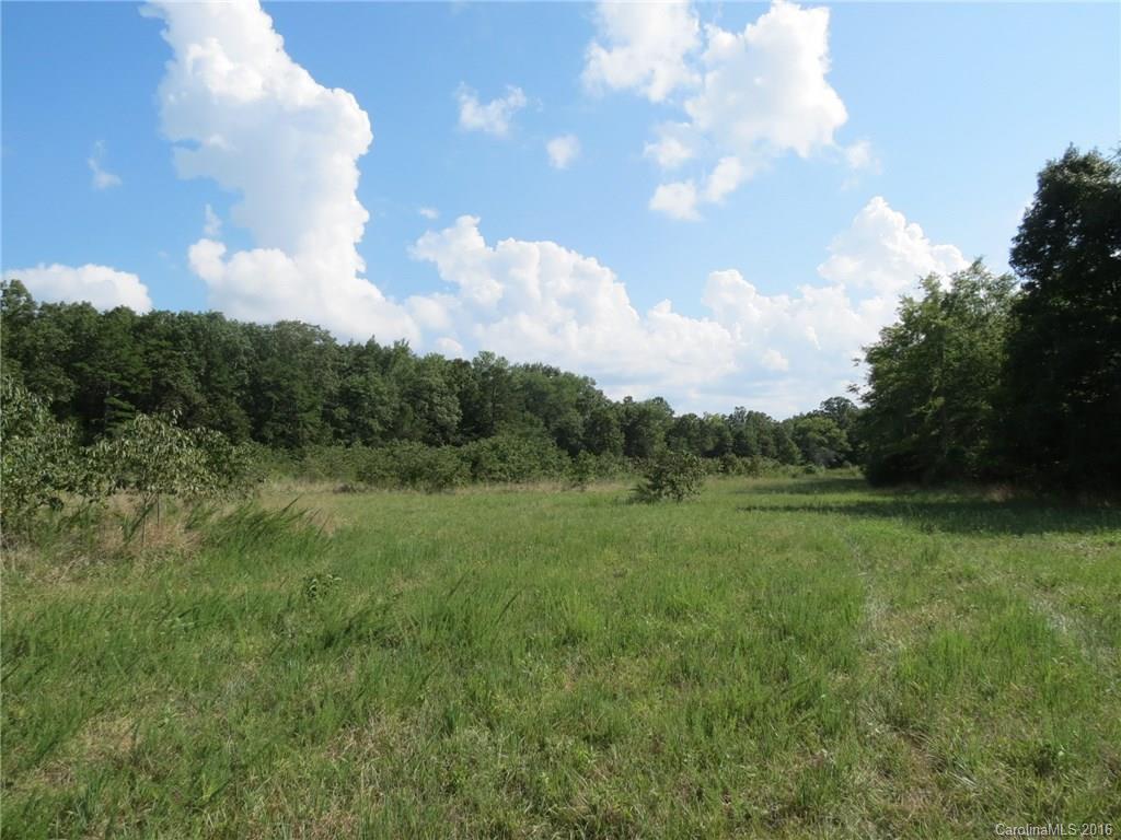 23 Locust Hill Road York, SC 29745 - Photo 13 of 14 a view of grassy field with trees