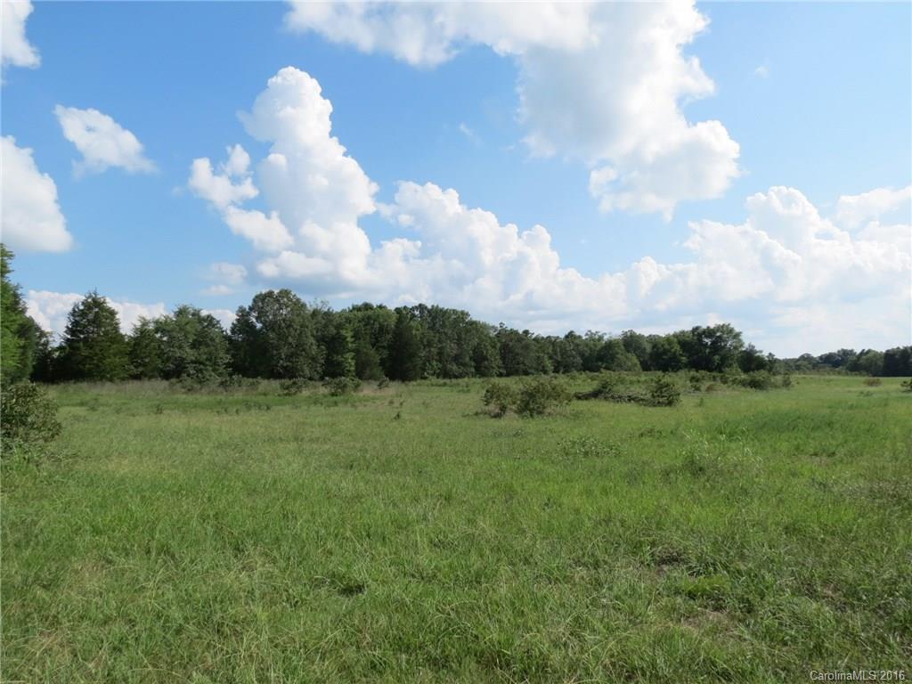 23 Locust Hill Road York, SC 29745 - Photo 7 of 14 a view of a big yard