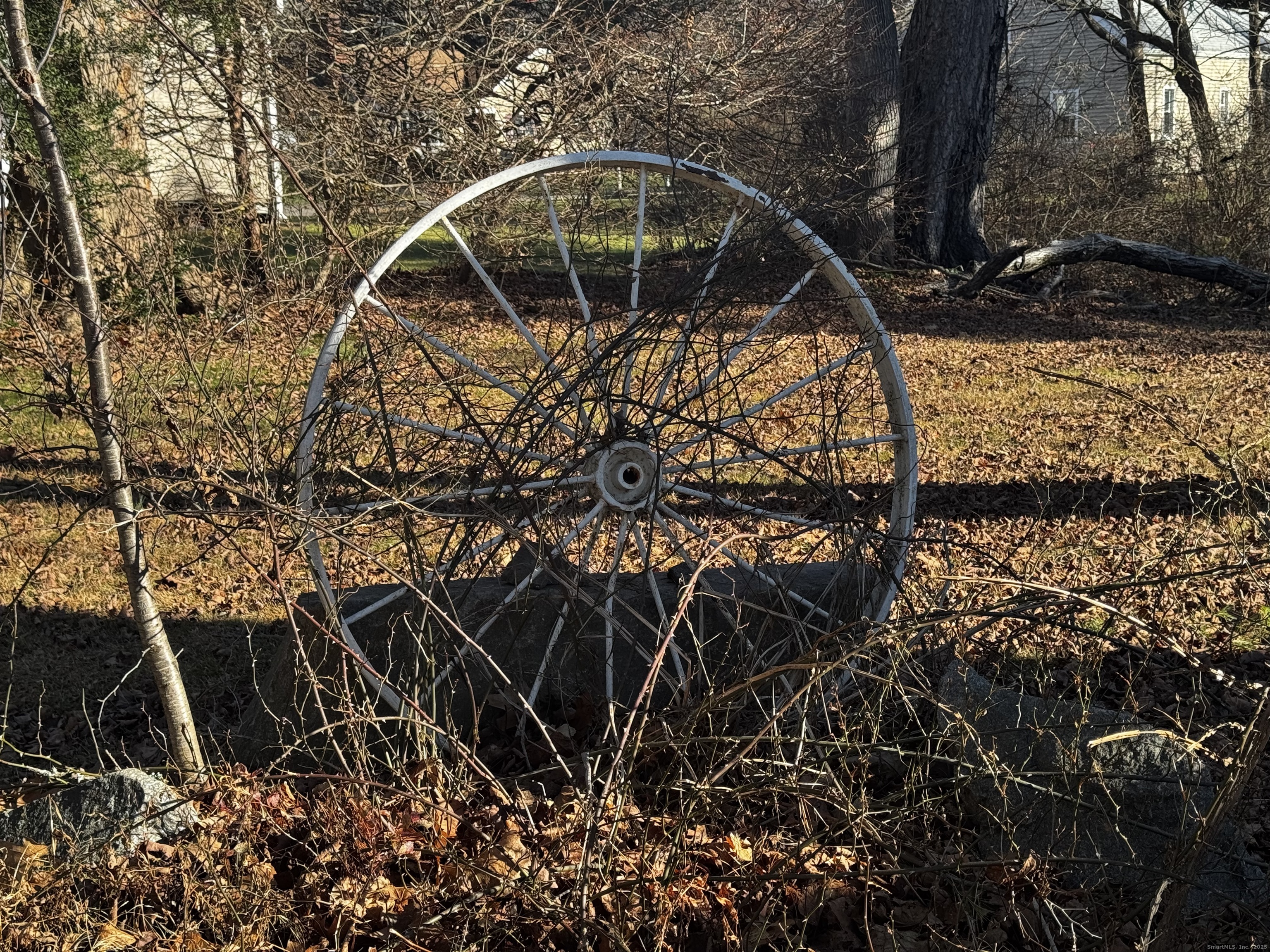 58 Daniels Farm Road Trumbull, CT 06611 - Photo 29 of 40 a picture of a tree