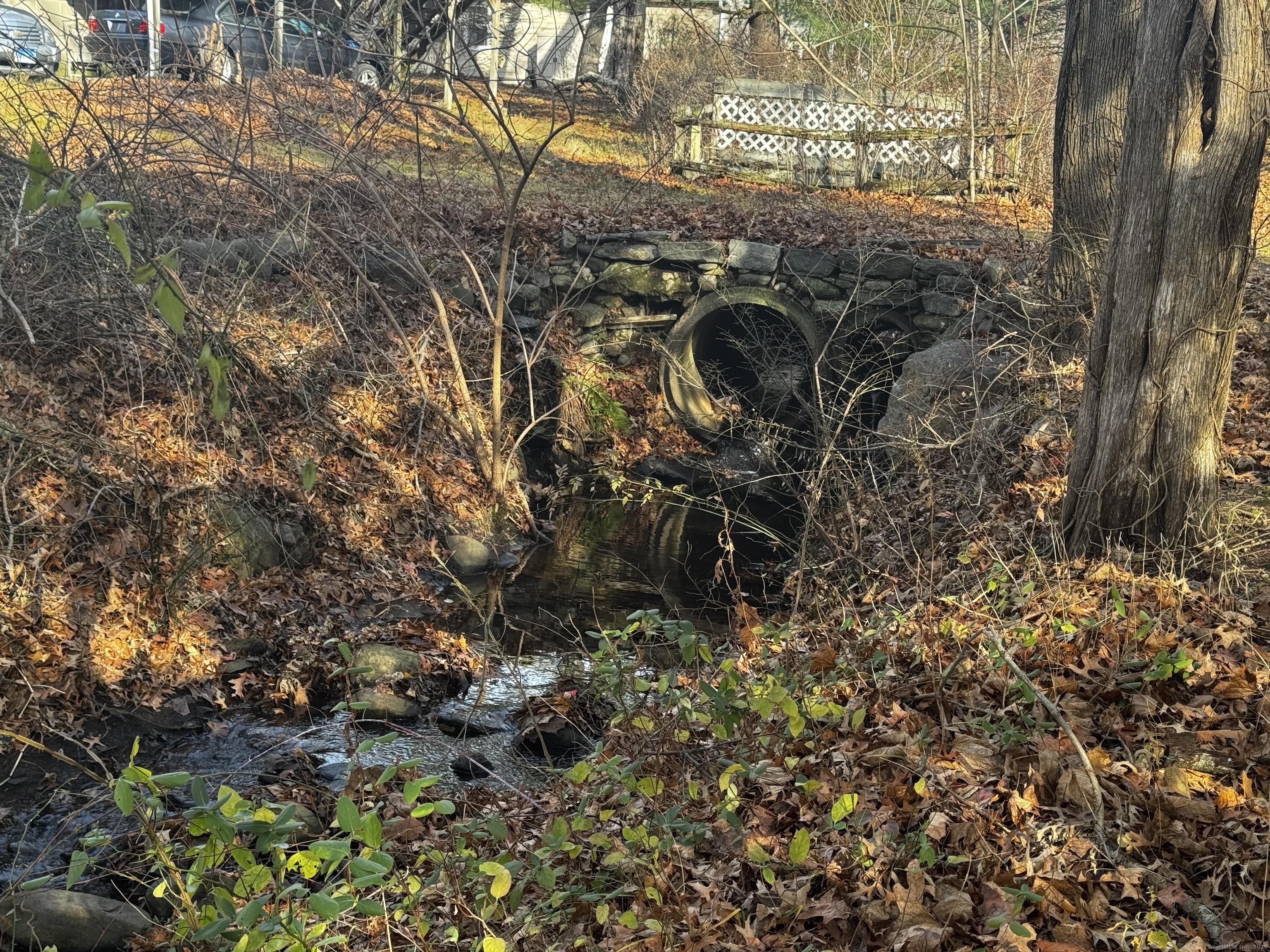 58 Daniels Farm Road Trumbull, CT 06611 - Photo 7 of 40 a view of a forest with a tree