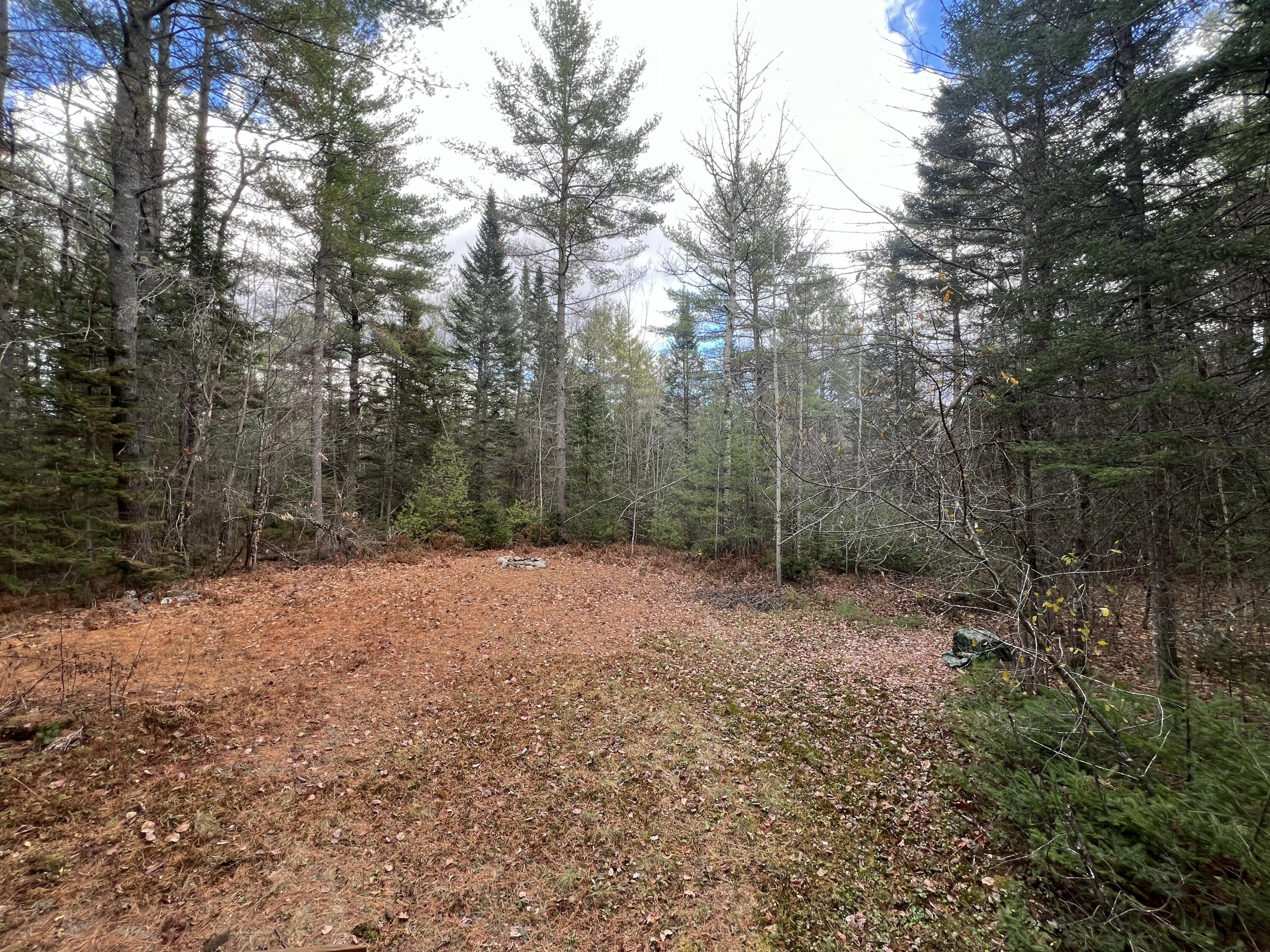 116 Harrison Road Oxford, ME 04270 - Photo 21 of 21 IMG_3236