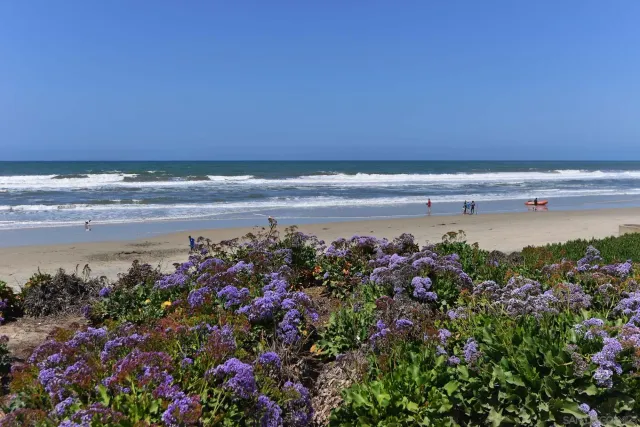 a view of a sign board with buildings in the background