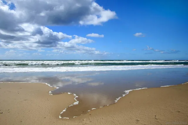 a view of an ocean and beach