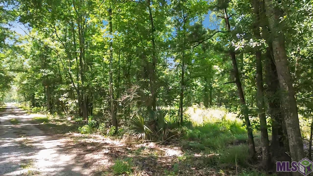 Tract C Picou Road Maurepas, LA 70449 - Photo 9 of 10