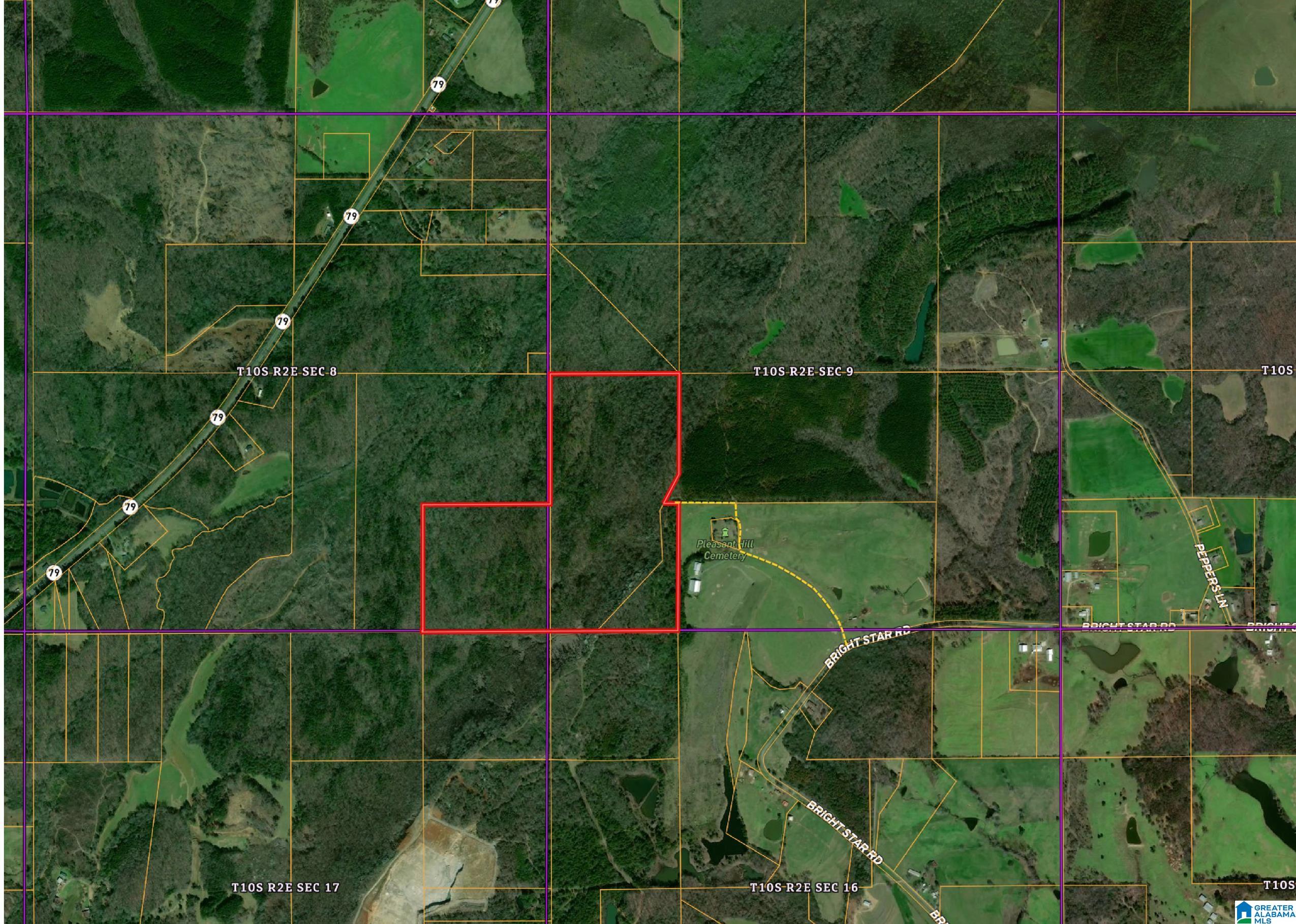 0 Bright Star Road, Unit 123 / ACRES Horton, AL 35980 - Photo 2 of 21