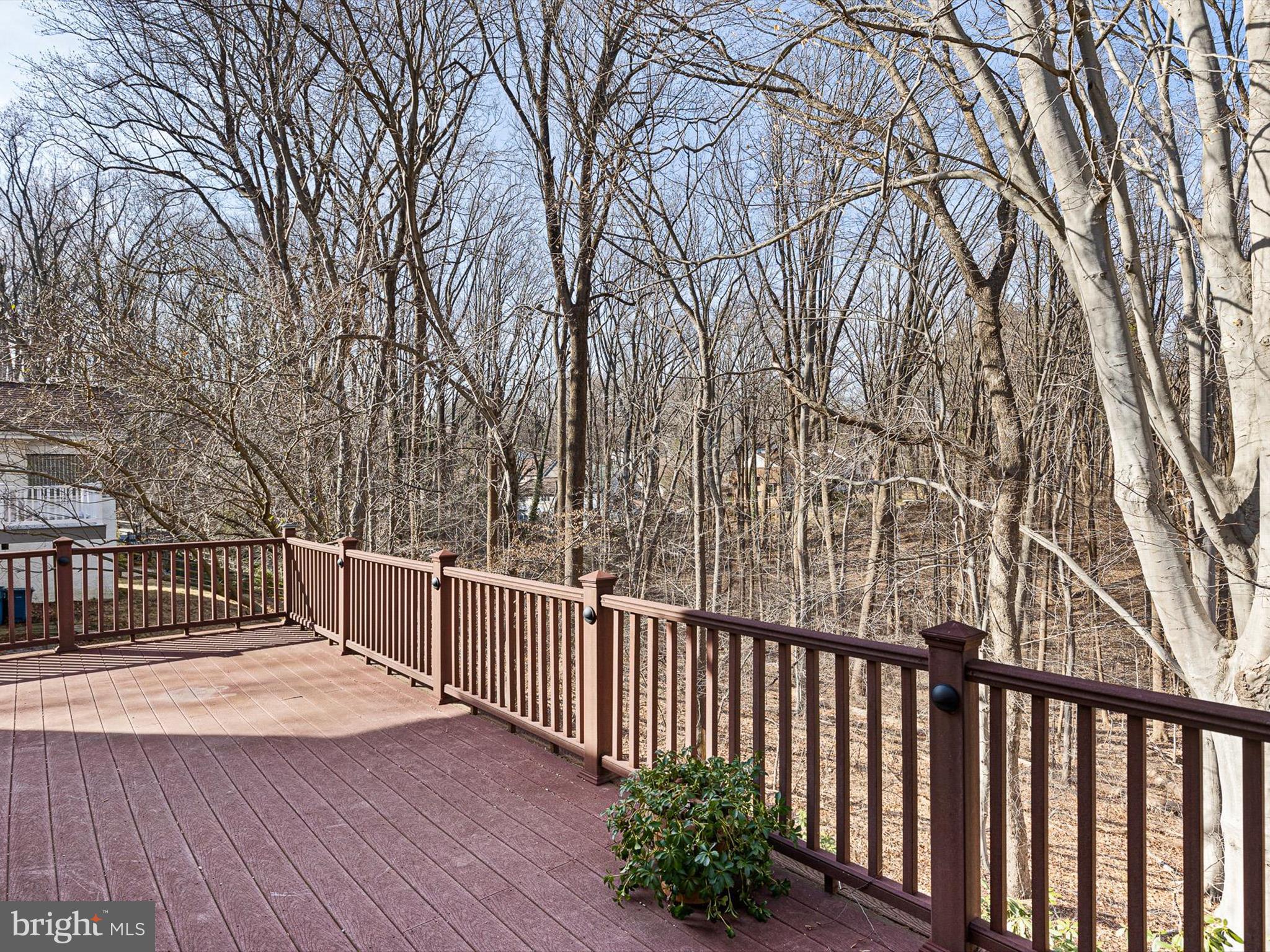 10 Forest Ridge Road Newark, DE 19711 - Photo 13 of 50 Deck