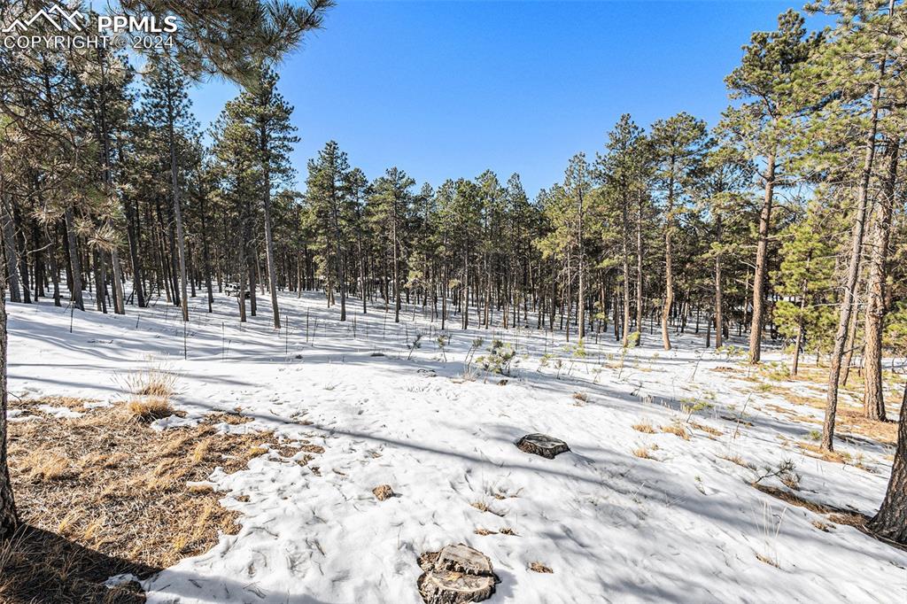 Evergreen Road Colorado Springs, CO 80921 - Photo 3 of 13 a view of a yard with snow on the road