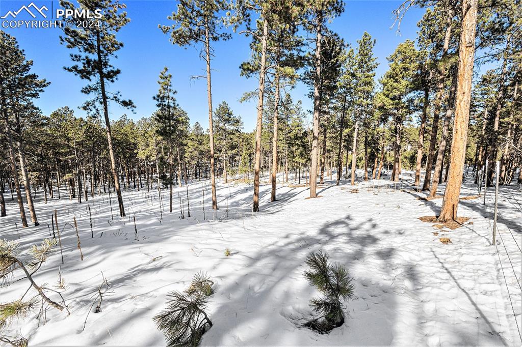 Evergreen Road Colorado Springs, CO 80921 - Photo 4 of 13 a view of snow on the road