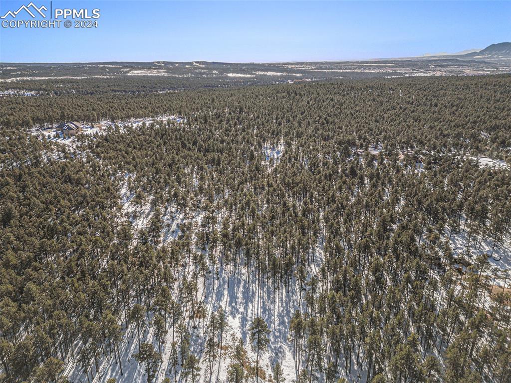 Evergreen Road Colorado Springs, CO 80921 - Photo 5 of 13 a view of an ocean