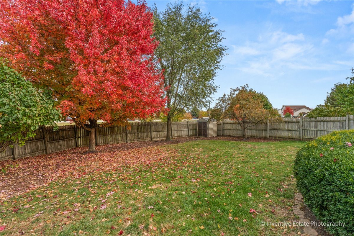 1818 Lobelia Lane Plainfield, IL 60586 - Photo 19 of 19 a backyard of a house with lots of green space