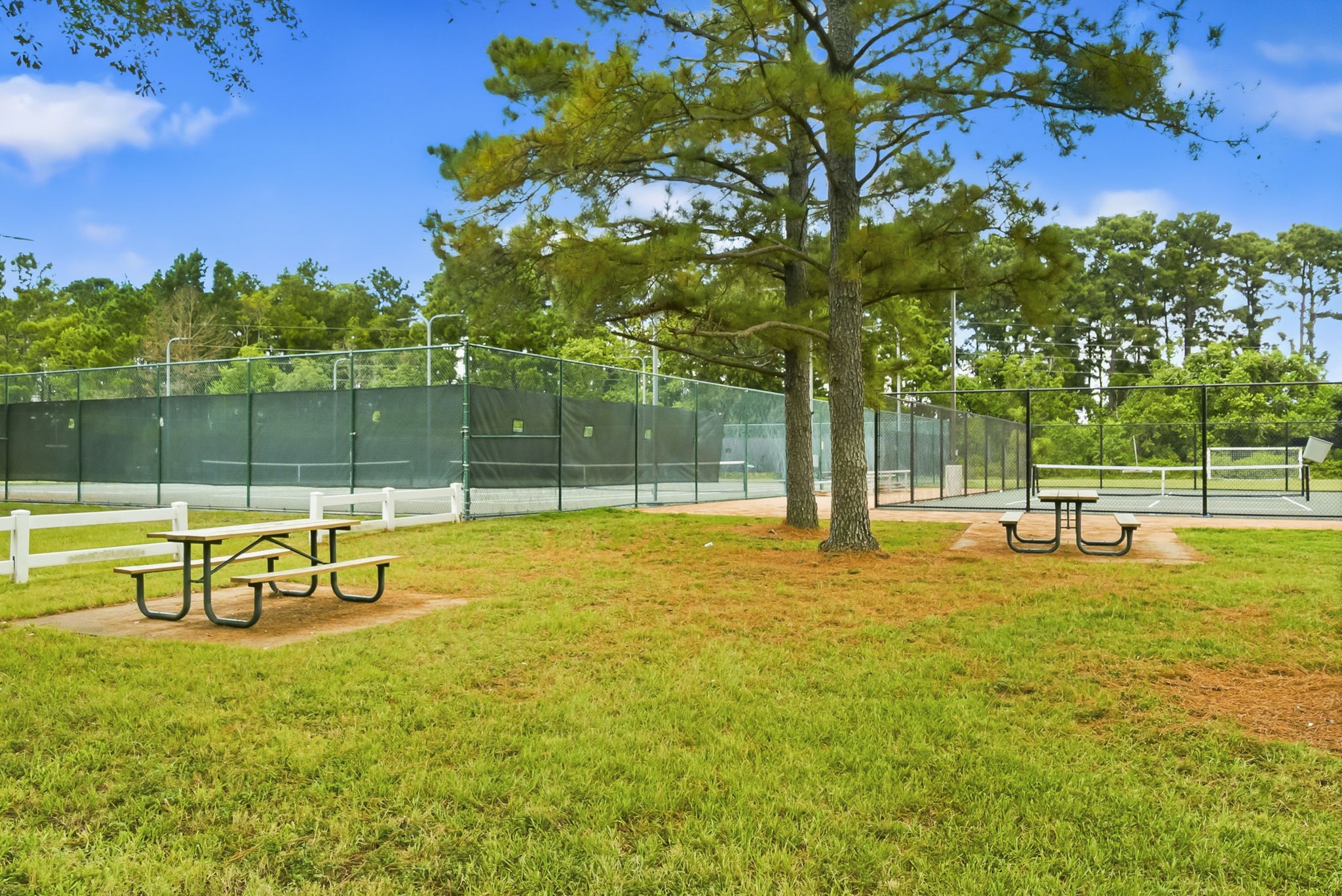 20934 Jessica Rose Lane Spring, TX 77379 - Photo 47 of 50 Gallery Image 47