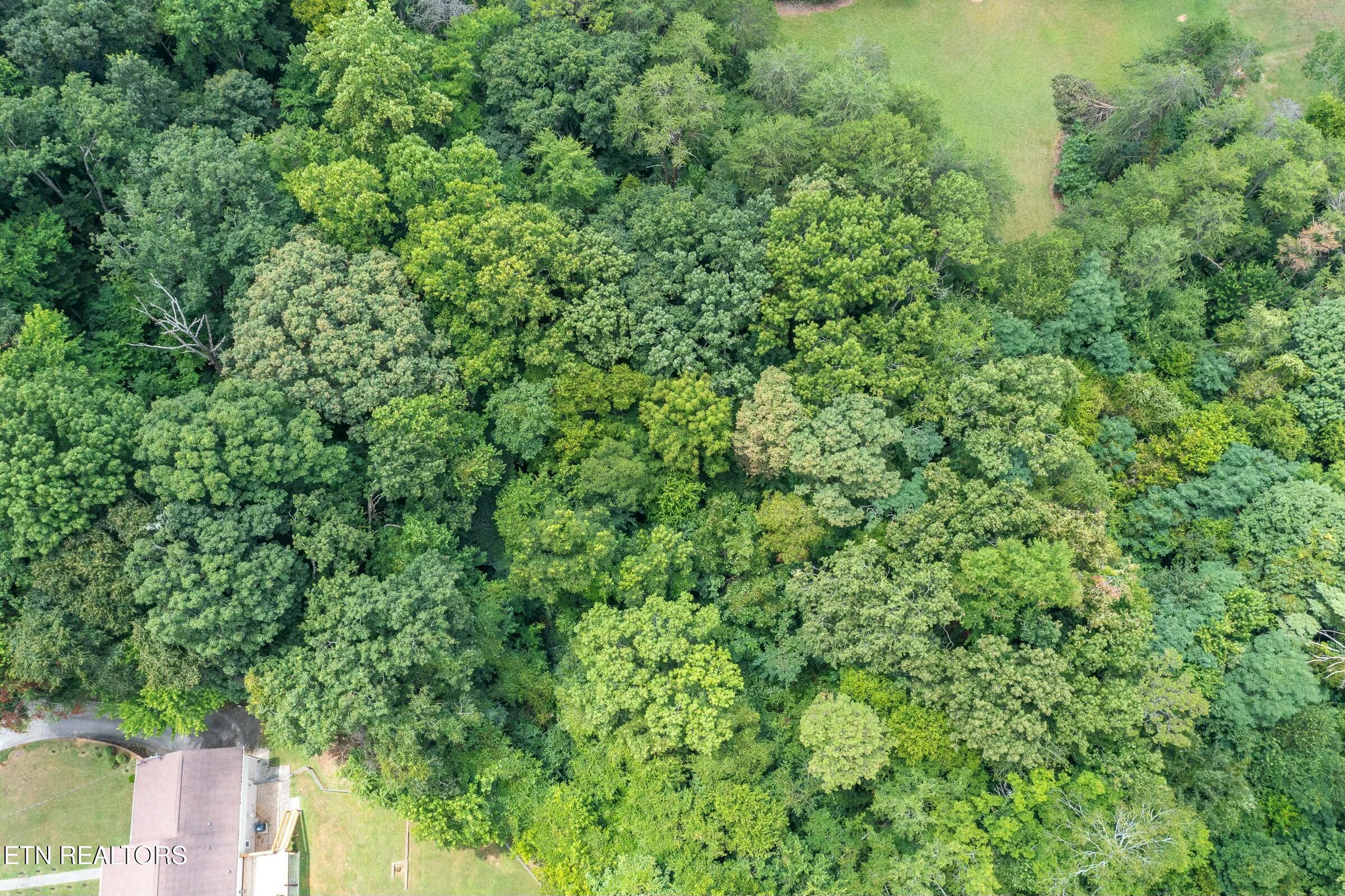 4705 Pleasant Ridge Road Knoxville, TN 37912 - Photo 3 of 6 tempImage12gu3T