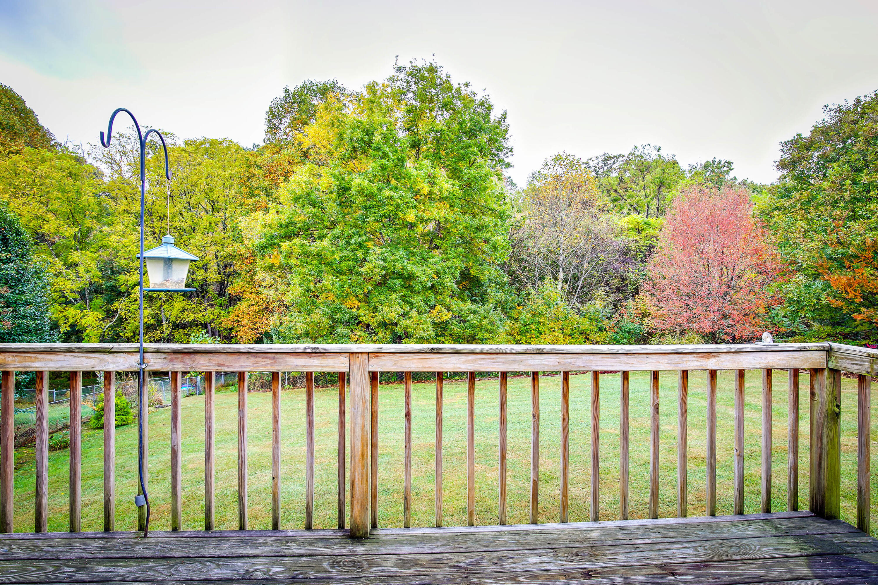 1119 Gray Station Road Gray, TN 37615 - Photo 34 of 35 034_gray_station_rd-32