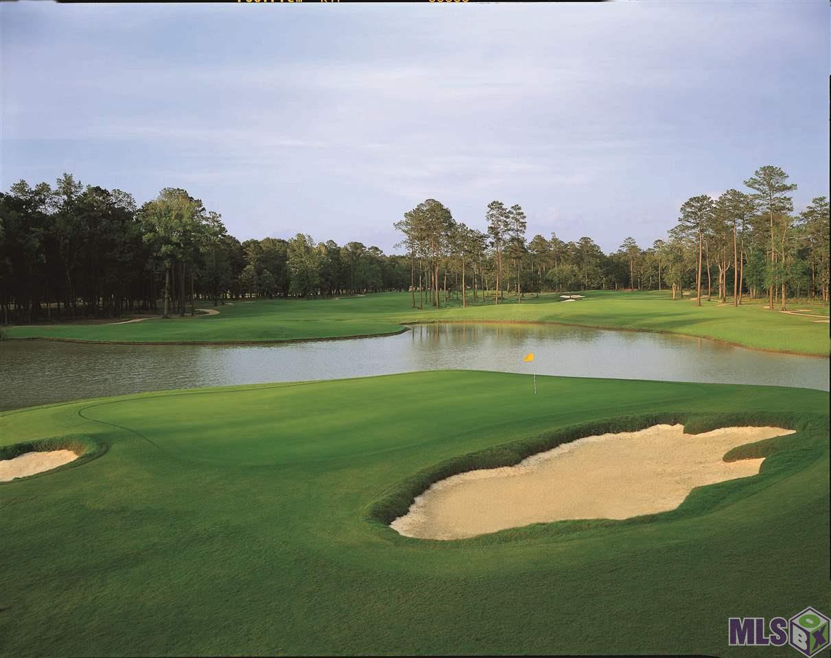 Lot 106 Monarch Point Springfield, LA 70462 - Photo 2 of 6