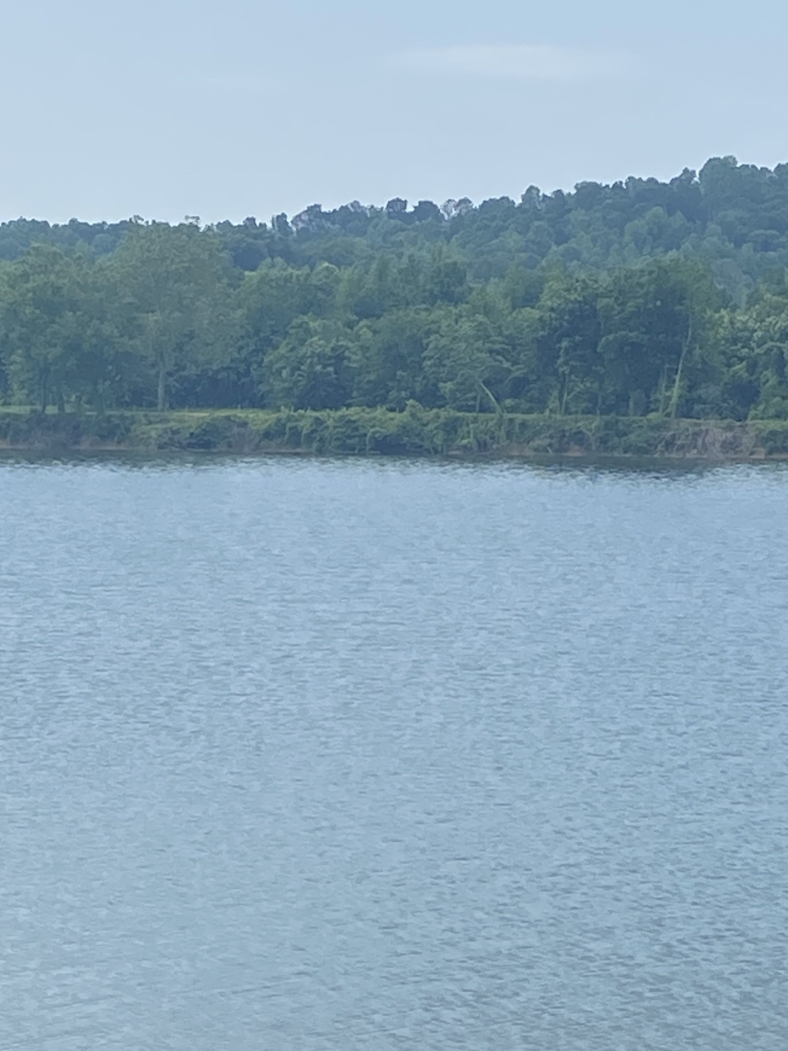 269 Hardin Bottom River Road Clifton, TN 38425 - Photo 13 of 30