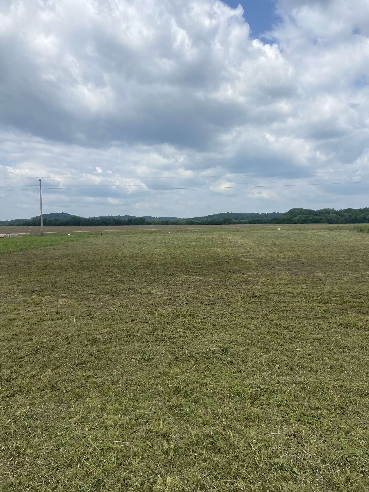 269 Hardin Bottom River Road Clifton, TN 38425 - Photo 15 of 30