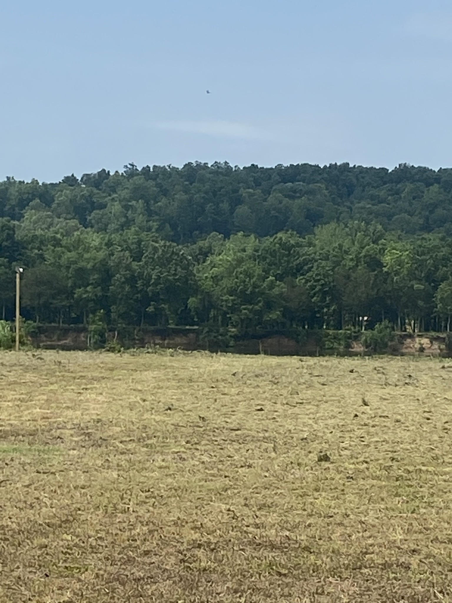 269 Hardin Bottom River Road Clifton, TN 38425 - Photo 17 of 30