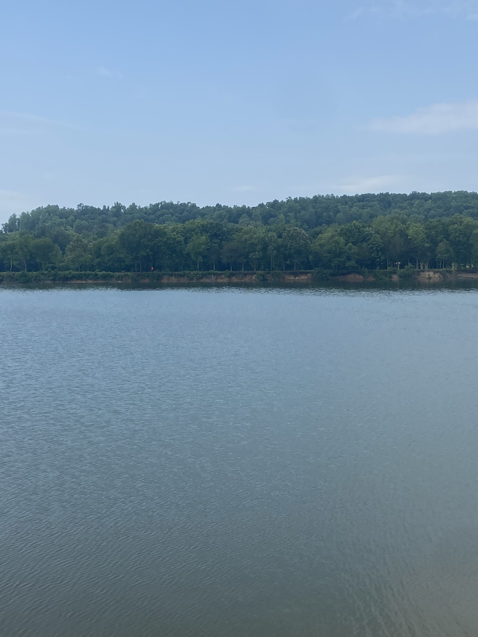 269 Hardin Bottom River Road Clifton, TN 38425 - Photo 19 of 30