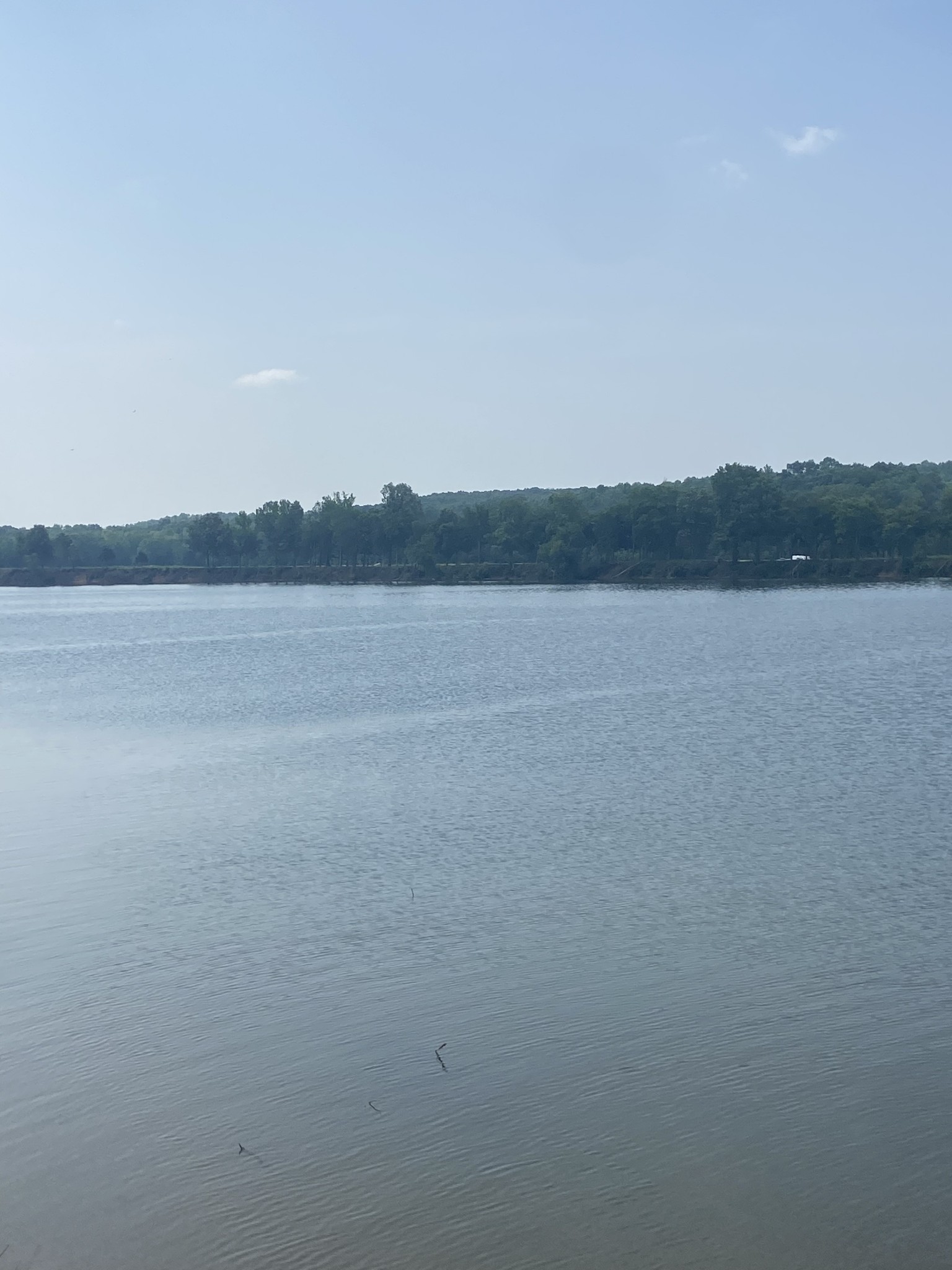 269 Hardin Bottom River Road Clifton, TN 38425 - Photo 20 of 30